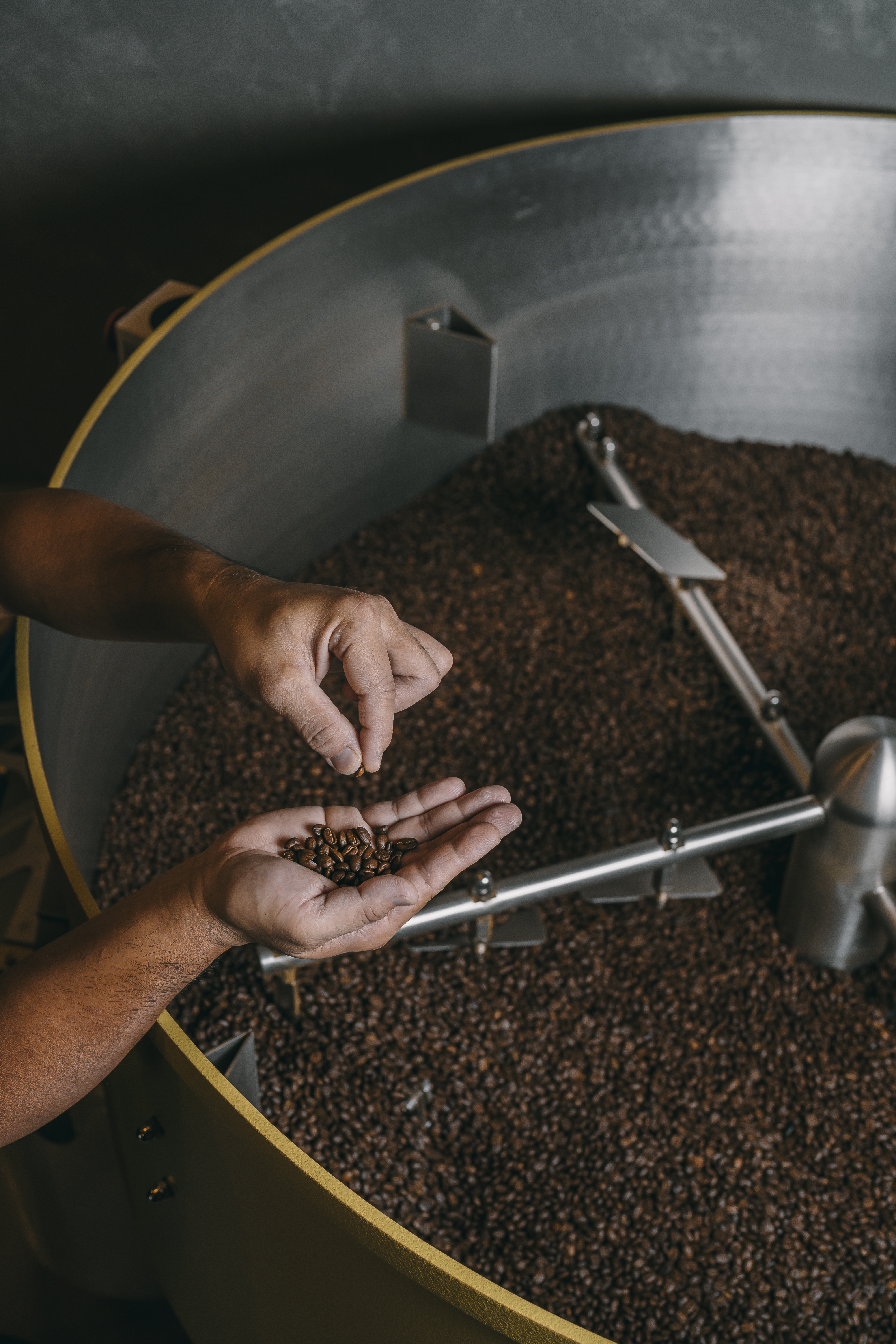 A moment at Roasted Sip