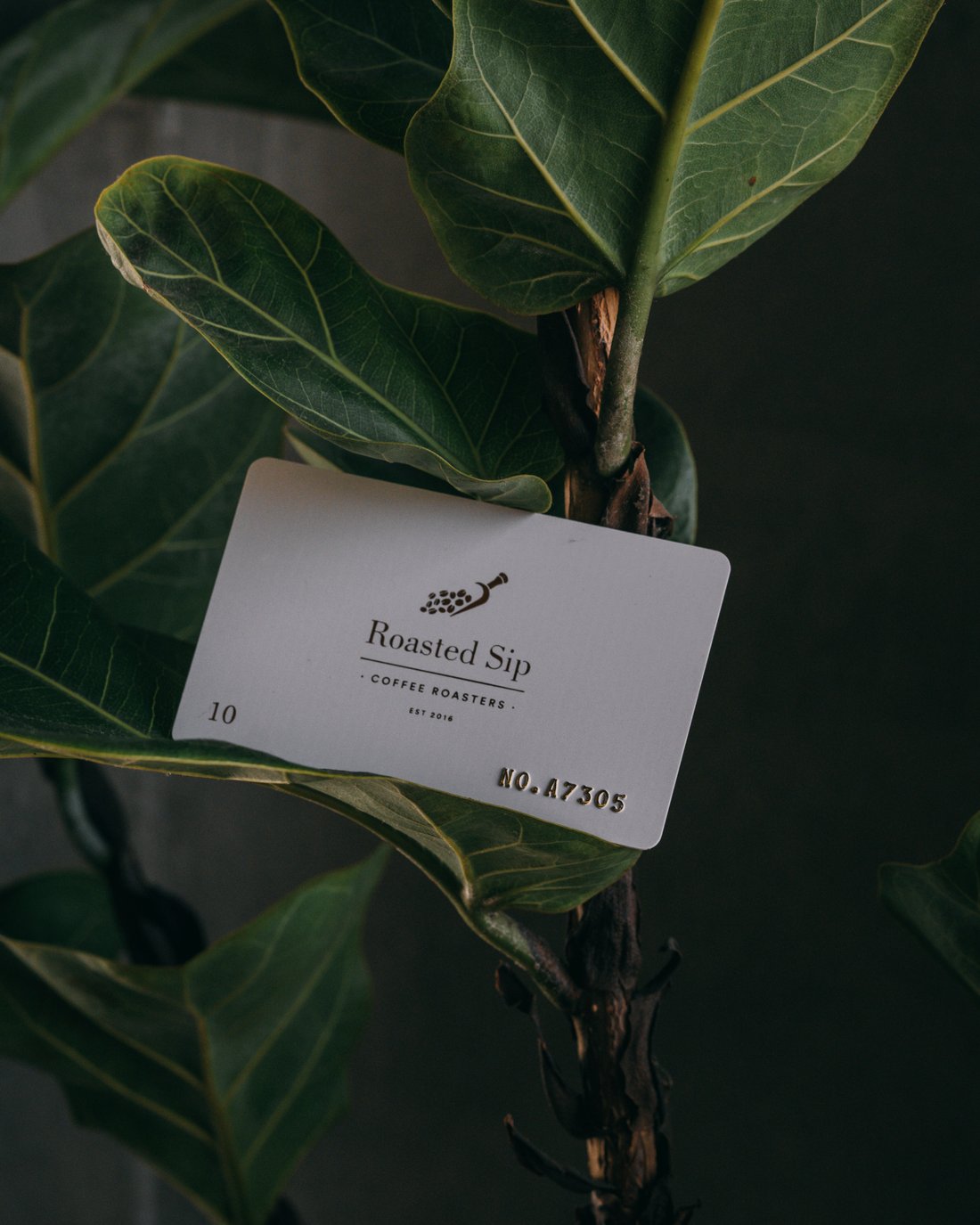 Roasted Sip $10 gift card