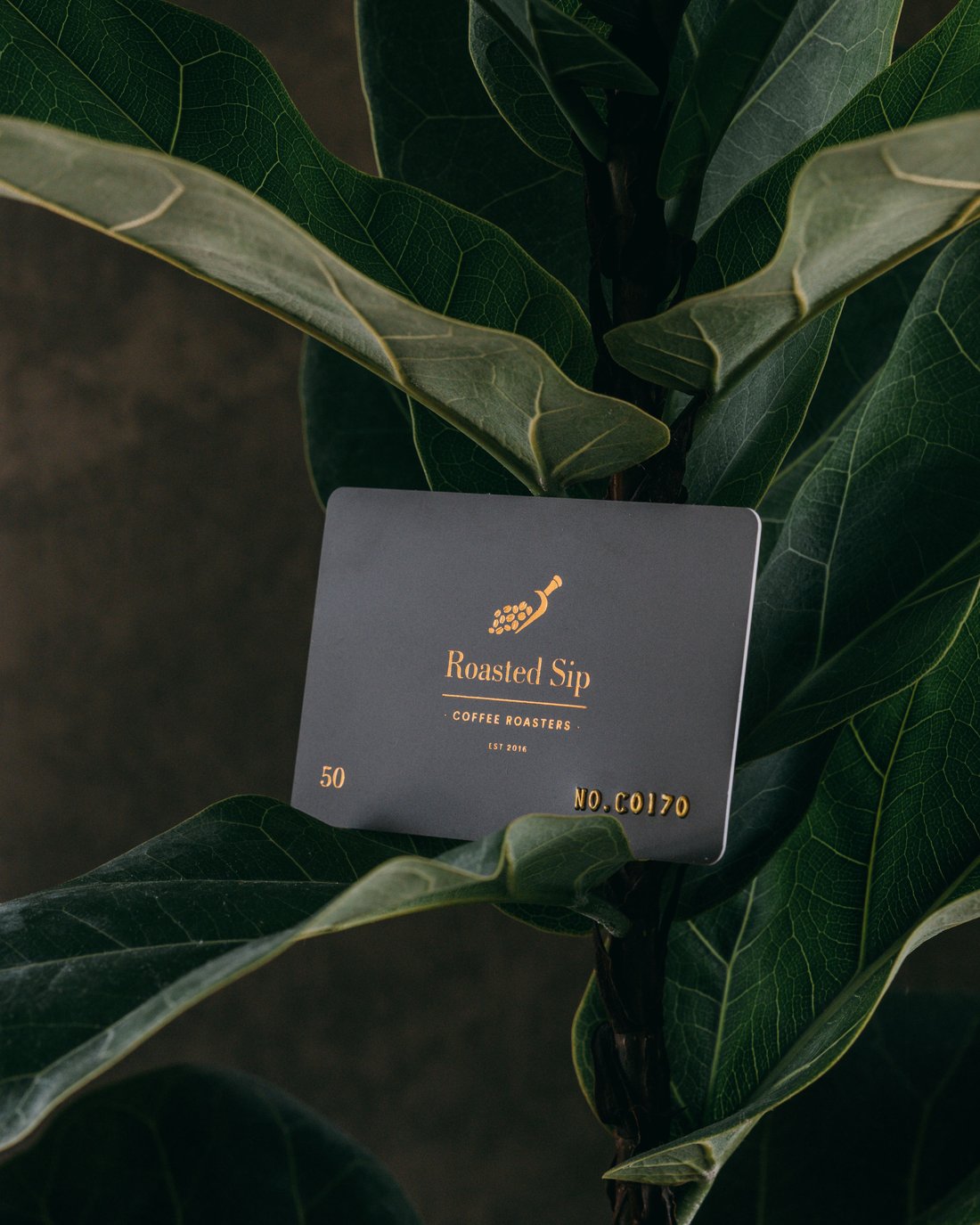 Roasted Sip $50 gift card